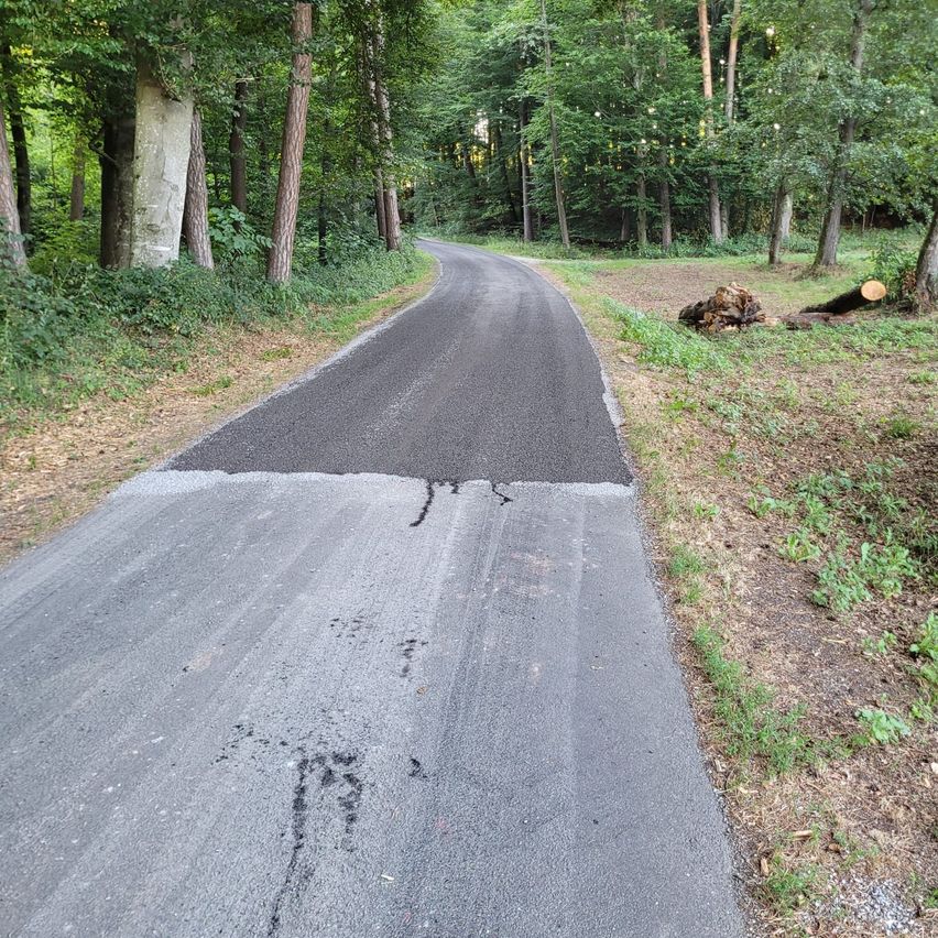 Eine Straße mit einem frisch gepflasterten Abschnitt und einem beschädigten Bereich, umgeben von einem Wald mit Bäumen und Grün.