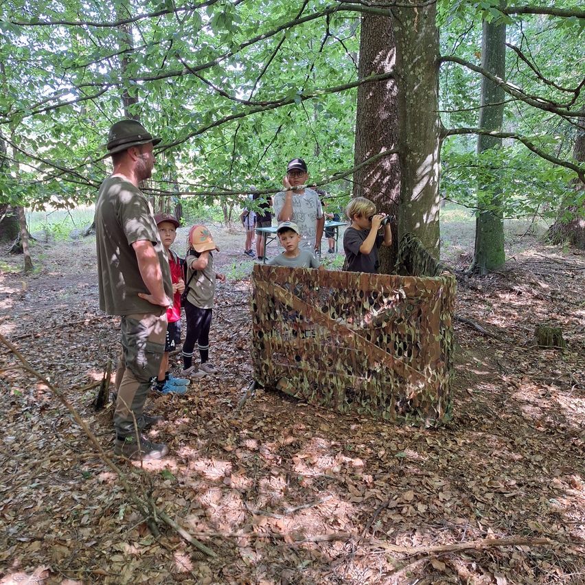 Eine Gruppe von Kindern und Erwachsenen im Wald, die Wildtiere durch eine getarnte Beobachtungsbox beobachten.