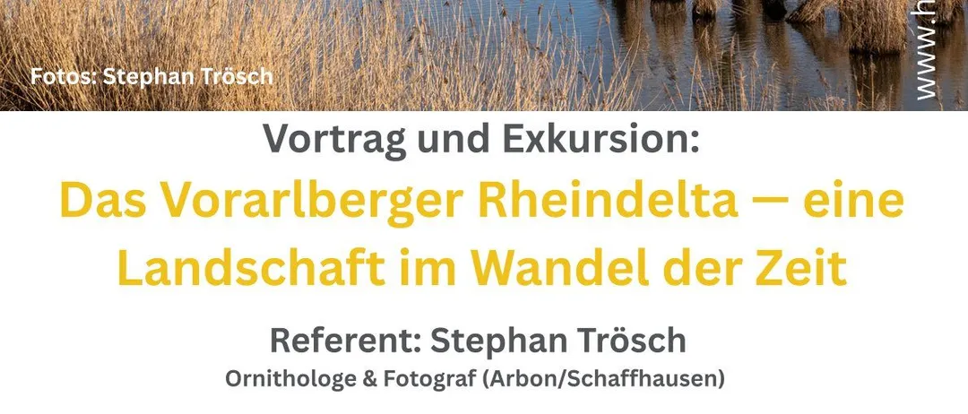 Eine Feuchtgebietslandschaft mit Wasser, Schilf und einem Baum im Vordergrund. Das Bild enthält auch Text über eine Präsentation zum Vorarlberger Rheindelta.