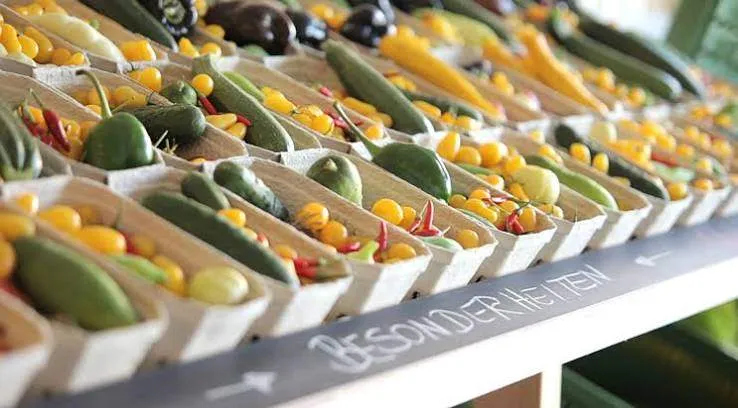 Eine Ausstellung verschiedener Gemüsesorten in kleinen Pappschachteln, einschließlich Gurken, gelber Paprika und Auberginen, in Reihen auf einem Holztisch angeordnet.