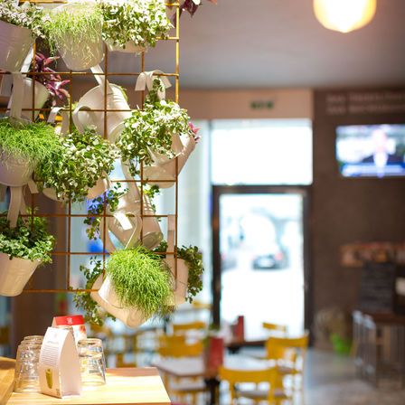 Bild enthält, Flower, Flower Arrangement, Plant, Restaurant, Wood, Cafeteria, Plywood, Cafe, Interior Design, Flower Bouquet