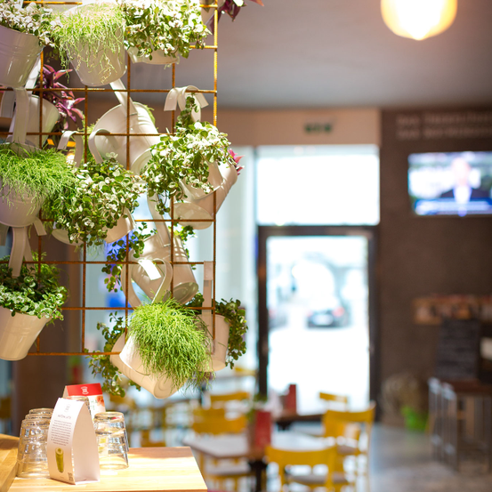 Bild enthält, Flower, Flower Arrangement, Plant, Restaurant, Wood, Cafeteria, Plywood, Cafe, Interior Design, Flower Bouquet