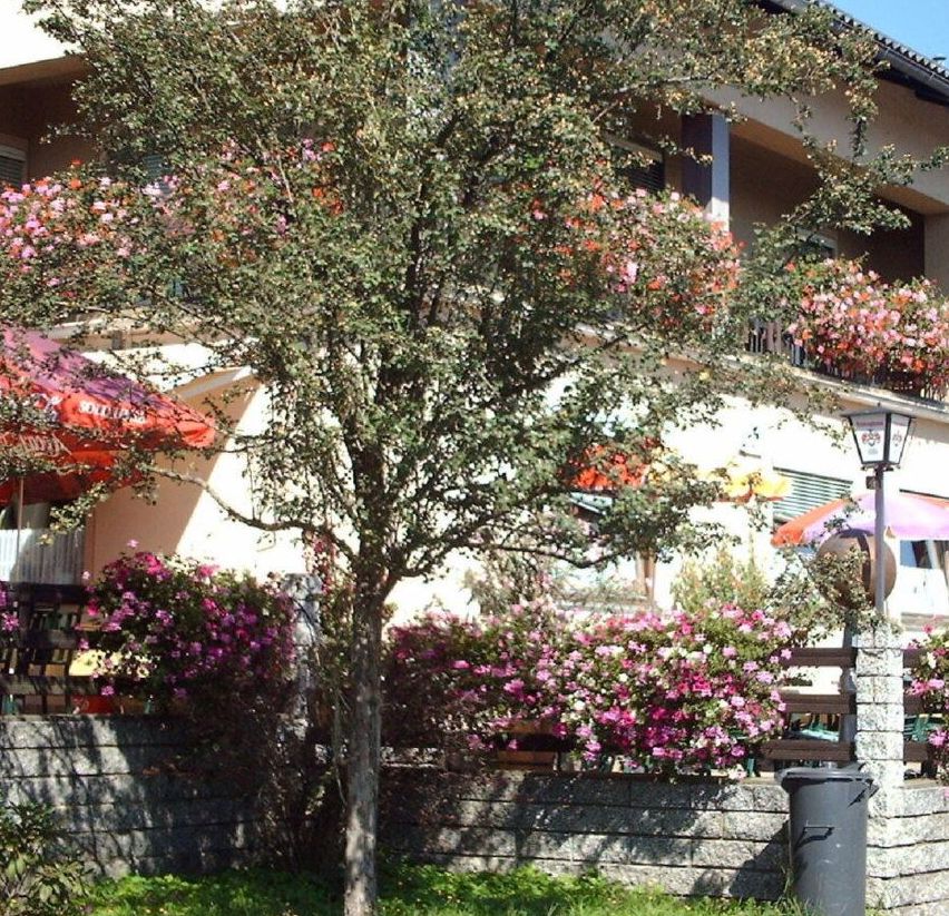 Bild enthält, Building, Housing, Villa, Shelter, Potted Plant, City, Neighborhood, Hotel, Car, Wheel