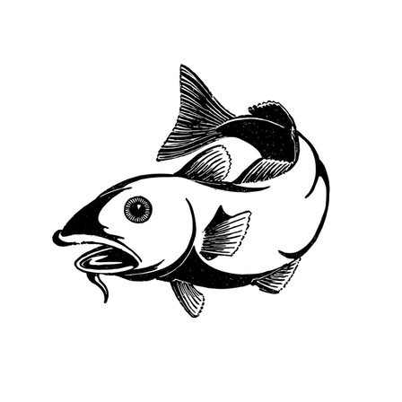 Eine Schwarz-Weiß-Illustration eines Fisches mit großem Maul und Flossen. Der Fisch scheint zu schwimmen.