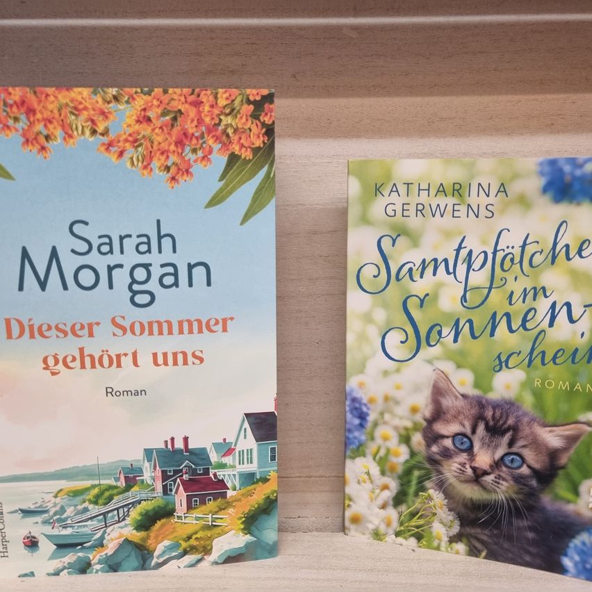 Zwei Bücher stehen nebeneinander auf einem Holzregal. Das Buch auf der linken Seite heißt 'Dieser Sommer gehort uns' von Sarah Morgan. Das Buch auf der rechten Seite heißt 'Samtpfotchen im Sonnenschein' von Katharina Gerwens.
