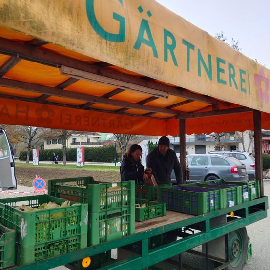 Bild enthält, Adult, Female, Person, Woman, Male, Man, Car, Vehicle, Wheel, Face