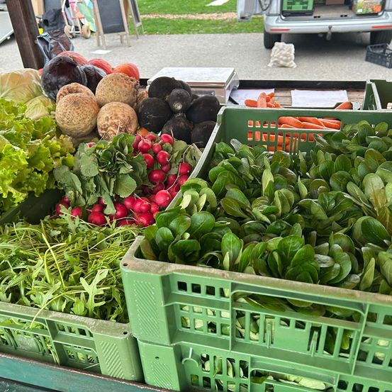Bild enthält, Car, Vehicle, Machine, Wheel, Food, Leafy Green Vegetable, Produce, Vegetable, Market, Box