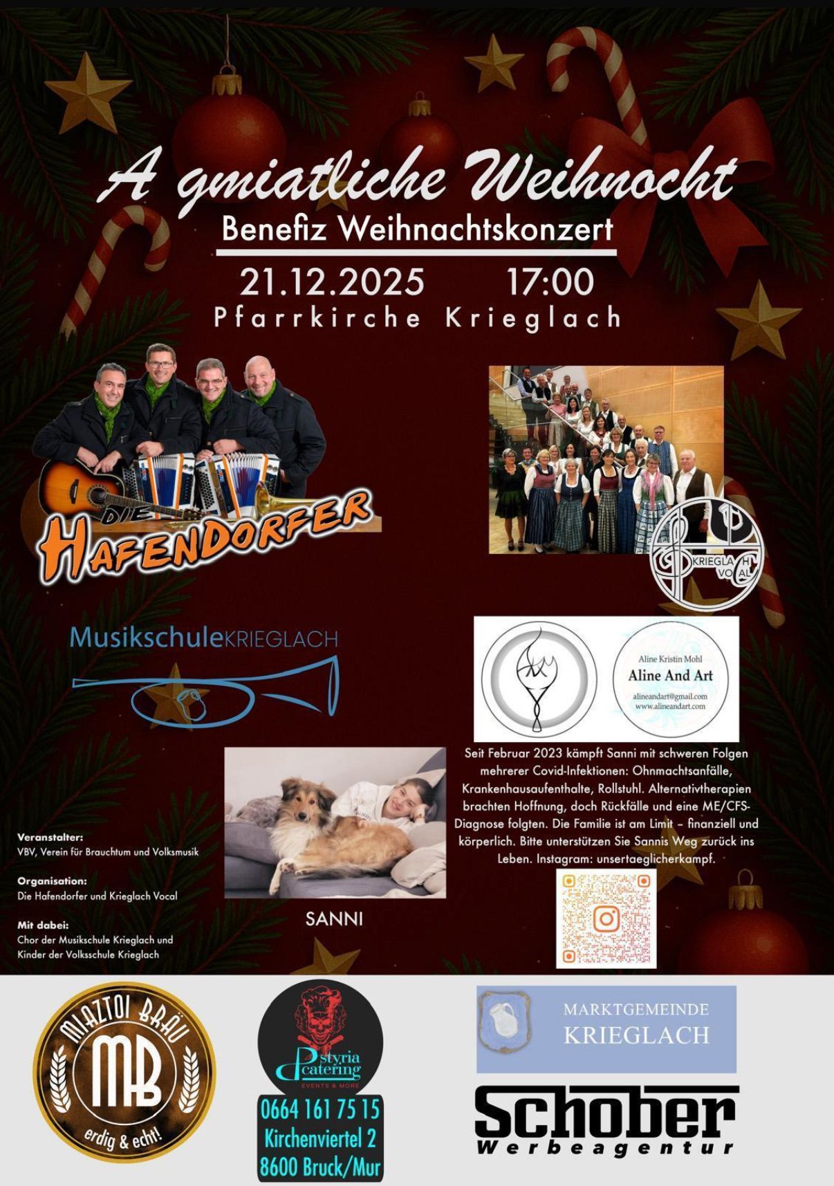 Ein wohltätiges Weihnachtskonzert am 21.12.2025 um 17:00 Uhr in der Pfarrkirche Krieglach. Mit Auftritten von Die Hafendorfer und verschiedenen Chören unterstützt dieses Event Sanni in ihrem Kampf gegen schwere gesundheitliche Probleme.