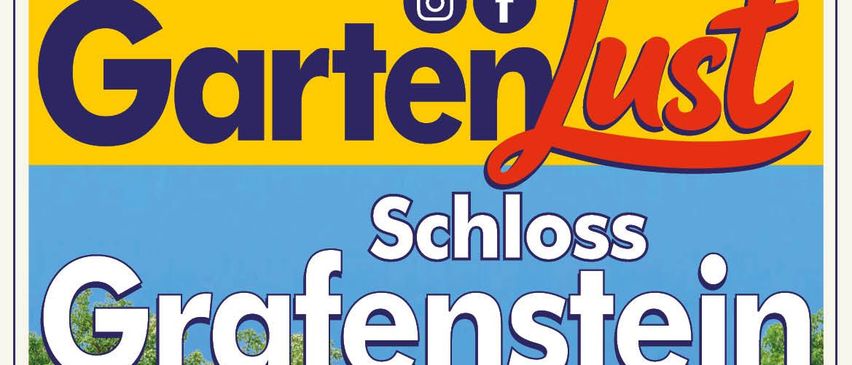 Eine Werbung für Schloss Grafenstein mit den Daten 24.-26. Juli. Das Gebäude hat eine gelbe Außenseite, viele Fenster und einen markanten Eingang.