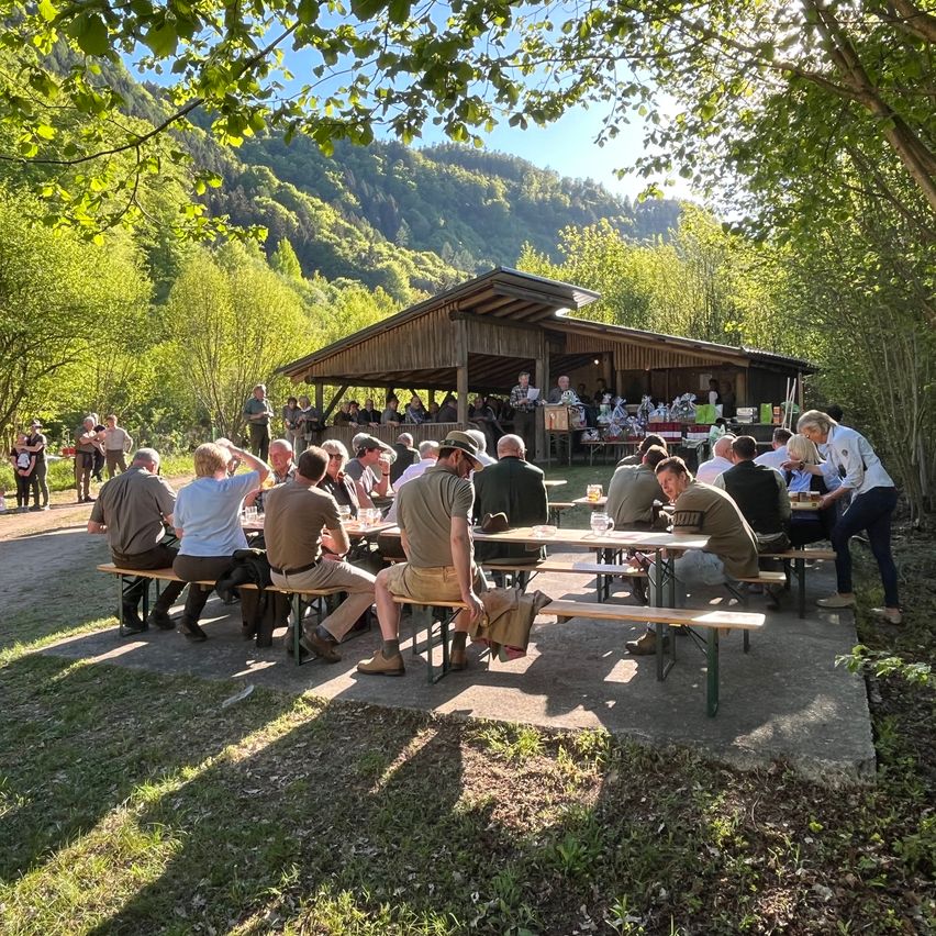 Menschen versammeln sich an einem Picknickplatz unter Bäumen mit Bergen im Hintergrund. Ein hölzerner Pavillon mit Menschen darin ist sichtbar. Mehrere Gruppen von Menschen sitzen an Picknicktischen.