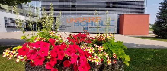 Grass, Park, Advertisement, Potted Plant, Vegetation, Office Building, Flower, Person
