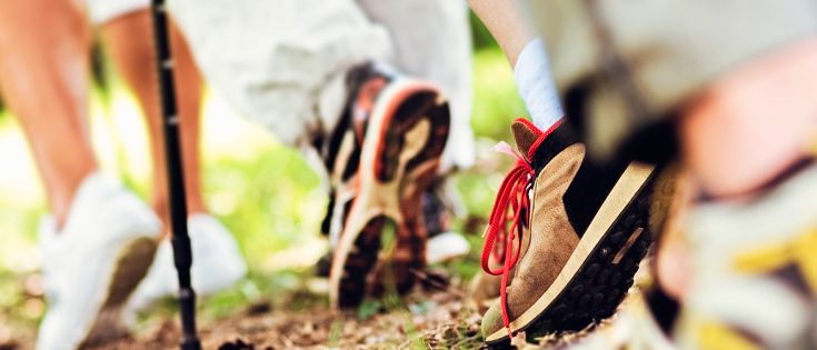 Eine Gruppe von Menschen läuft auf einem Grasweg, trägt Turnschuhe und benutzt Trekkingstöcke, wobei eine Person rote Schnürsenkel an ihrem Schuh trägt.