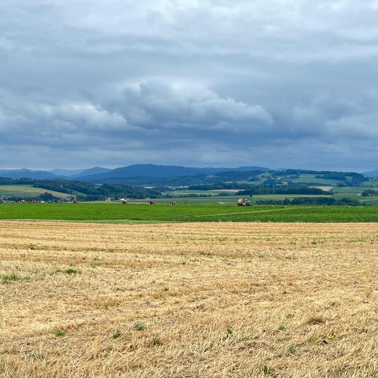 Bild enthält, Nature, Outdoors, Sky, Ground, Horizon, Car, Transportation, Vehicle, Scenery, Countryside