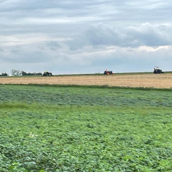 Bild enthält, Nature, Outdoors, Sky, Horizon, Countryside, Rural, Farm, Aerial View