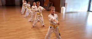 Eine Gruppe junger Kinder in weißen Karate-Uniformen mit gelben Gürteln übt Karate in einem Raum.