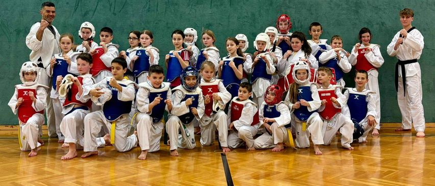 TAEKWONDO TANGUN TULLN - Schüler 8 - 12 Jahre