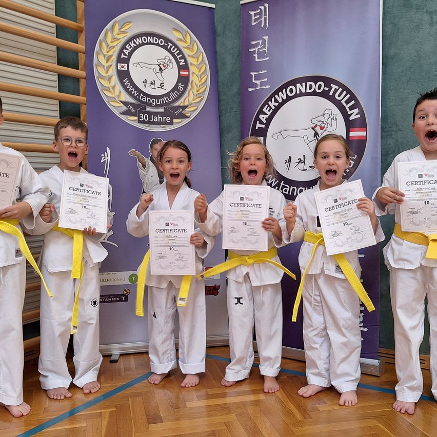 Sechs junge Kinder in weißen Karate-Uniformen mit gelben Gürteln halten Urkunden in der Hand und stehen in einer Reihe vor einem Hintergrund mit einem lila Banner.