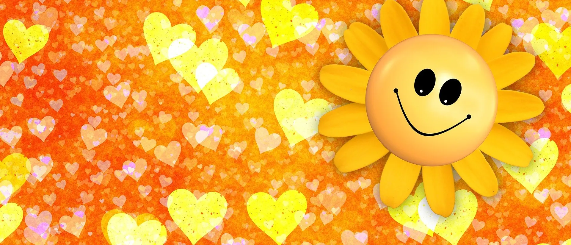 Flower, Petal, Plant, Daisy, Toy