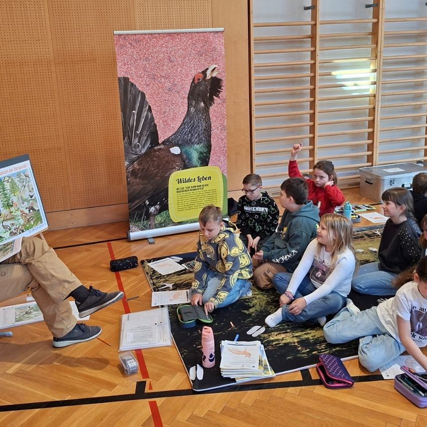 Eine Gruppe von Kindern sitzt im Kreis und hört einem Mann zu, der ein Buch liest. Hinter ihnen ist ein großes Poster eines Vogels. Sie sind auf dem Boden, mit Büchern und einer Matte vor ihnen.
