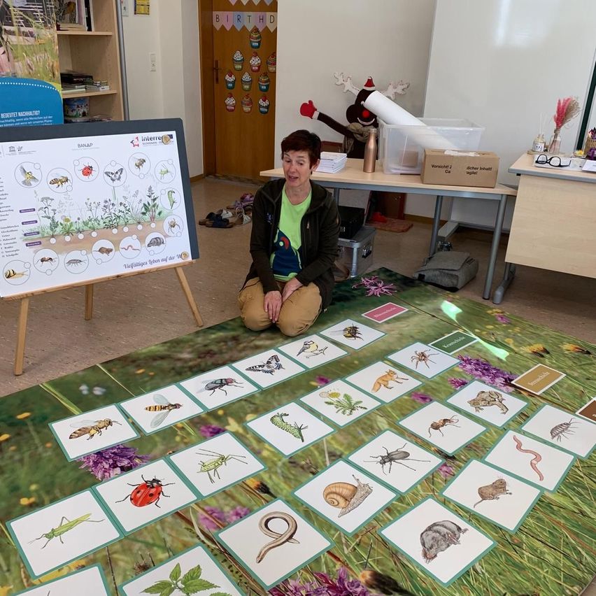 Eine Frau sitzt auf dem Boden neben einem Lehrposter und einem Teppich mit Bildern von Insekten und Tieren. Hinter ihr steht ein Schreibtisch mit einer Aufbewahrungsbox und einer Weihnachtsdekoration.