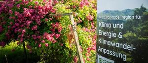 Bild enthält, Plant, Vegetation, Advertisement, Flower, Garden, Nature, Outdoors, Herbal, Herbs, Petal