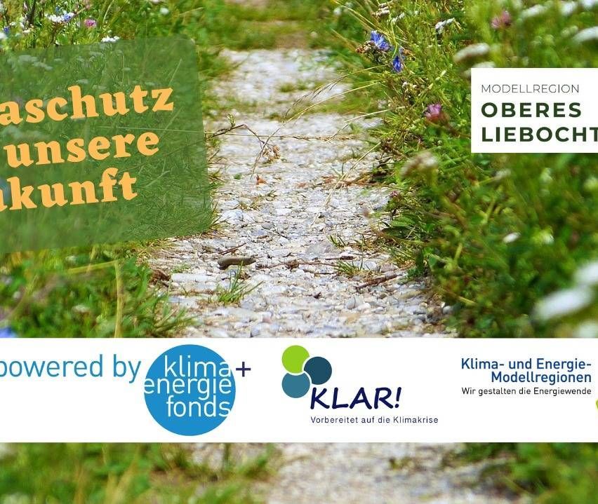 v1_migrated_image_55169451