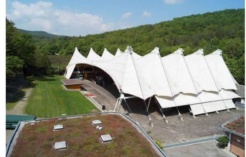 v1_migrated_image_2301419