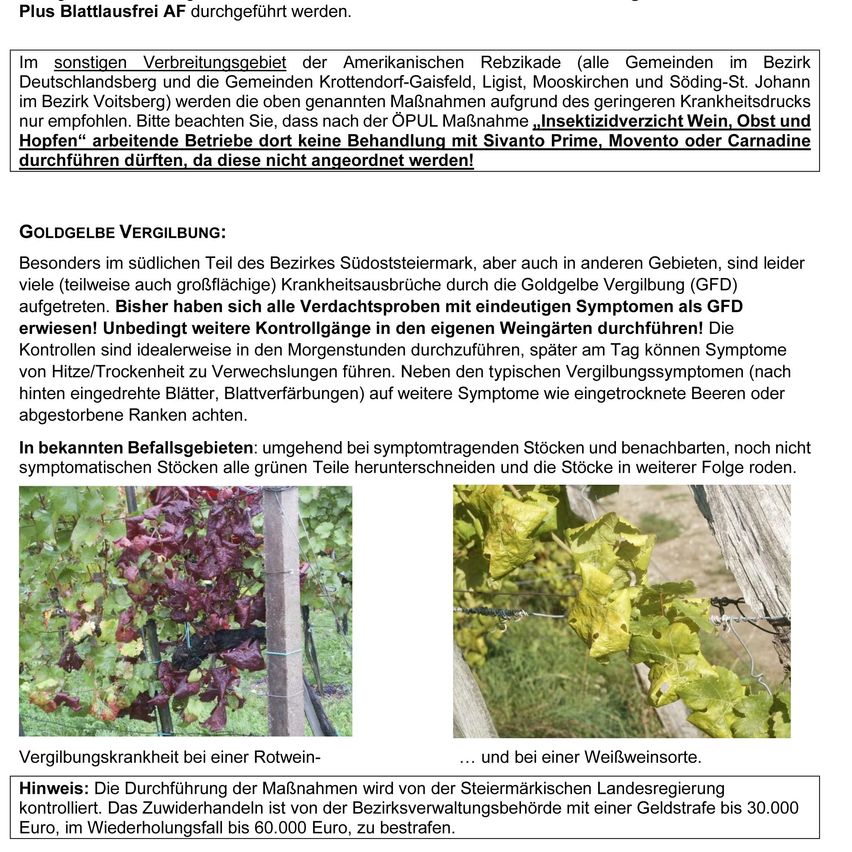 Das Dokument beschreibt Gebiete, in denen die Amerikanische Rebzikade vorkommt und die empfohlenen Maßnahmen zu ihrer Kontrolle. Es nennt spezifische Regionen und betont die Wichtigkeit der Überwachung von Weinbergen auf Anzeichen des Schädlings. Der Text enthält auch eine Warnung vor bestimmten Behandlungen in Gebieten mit Insektenresistenz.