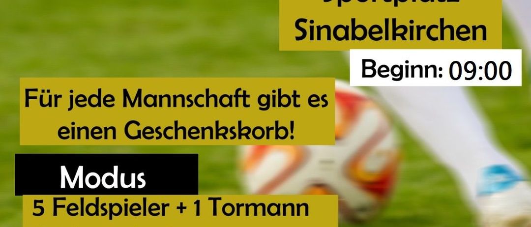 Advertisement, Poster, People, Person, Football, Soccer, Soccer Ball, Sport, Grass, Plant