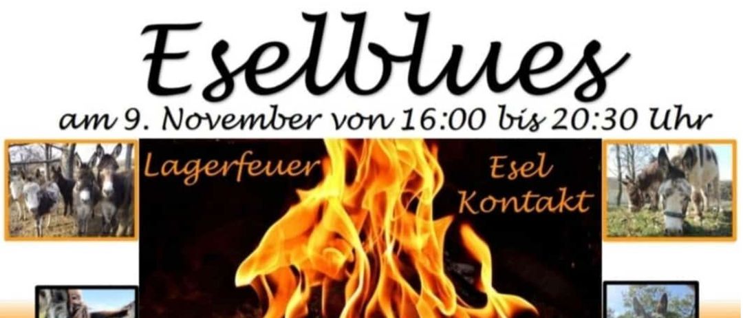 Bild enthält, Fire, Flame, Adult, Female, Person, Woman, Bonfire, Publication, Book, Cow