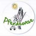 Animal, Canine, Mammal, Dog, Pet, Dalmatian, Cat, Plate