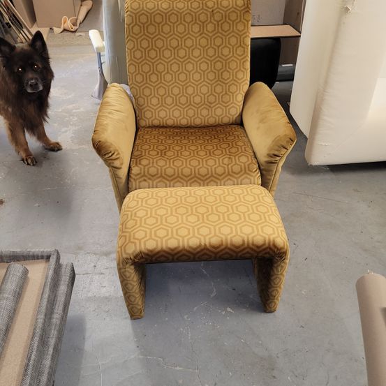 Bild enthält, Furniture, Chair, Armchair, Animal, Canine, Dog, Mammal, Pet, Recliner