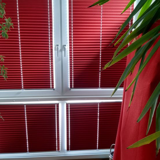 Bild enthält, Curtain, Home Decor, Window Shade, Plant, Window, Architecture, Building, Indoors, Interior Design