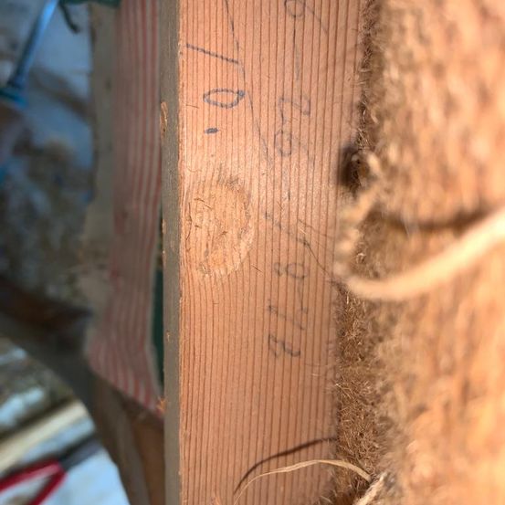 Bild enthält, Indoors, Interior Design, Wood, Home Damage, Termite Damage