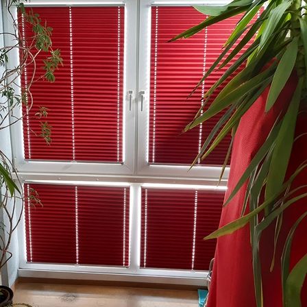 Ein Fenster mit roten Jalousien ist geschlossen und befindet sich zwischen zwei Pflanzen. Die Jalousien haben ein horizontales Faltdesign.