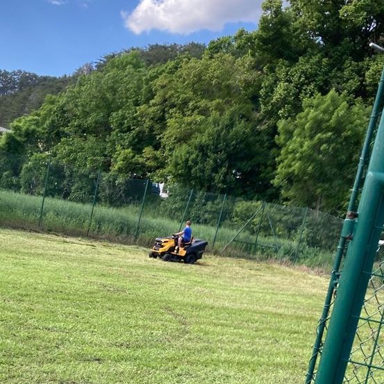 Eine Person mäht den Rasen mit einem gelben Rasenmäher. Das Gebiet ist von einem Zaun umgeben. Der Rasen ist grün und es gibt viele Bäume hinter dem Zaun.