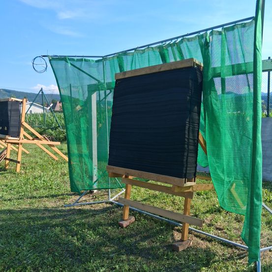 Ein schwarzes Zielbrett ist in einem Außenbereich aufgestellt, umgeben von grünen Netzen und einem Holzständer. Im Hintergrund befinden sich Häuser und ein Zaun.