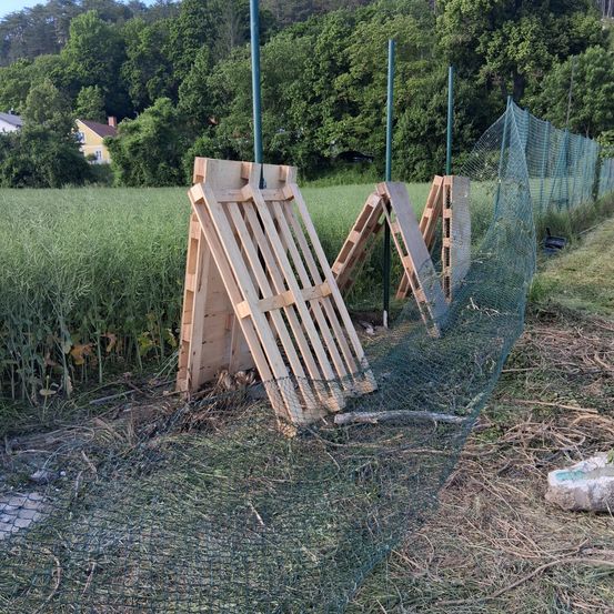 Ein Feld mit grünem Netz und Holzpaletten. Es gibt einen Stein im Boden und einen Zaun im Hintergrund.