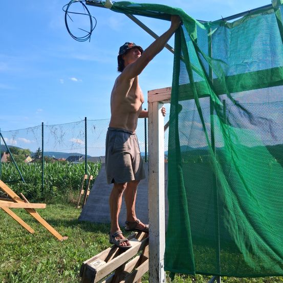 Ein Mann in Shorts und einer Kappe steht auf einer Holzplattform und hält ein grünes Netz. Er arbeitet wahrscheinlich an einer Struktur, mit einem Zaun und einem Feld dahinter.