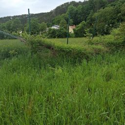 Ein offenes Grasfeld mit einigen Büschen und einem entfernten Haus. Bäume und Grünflächen sind im Hintergrund zu sehen.