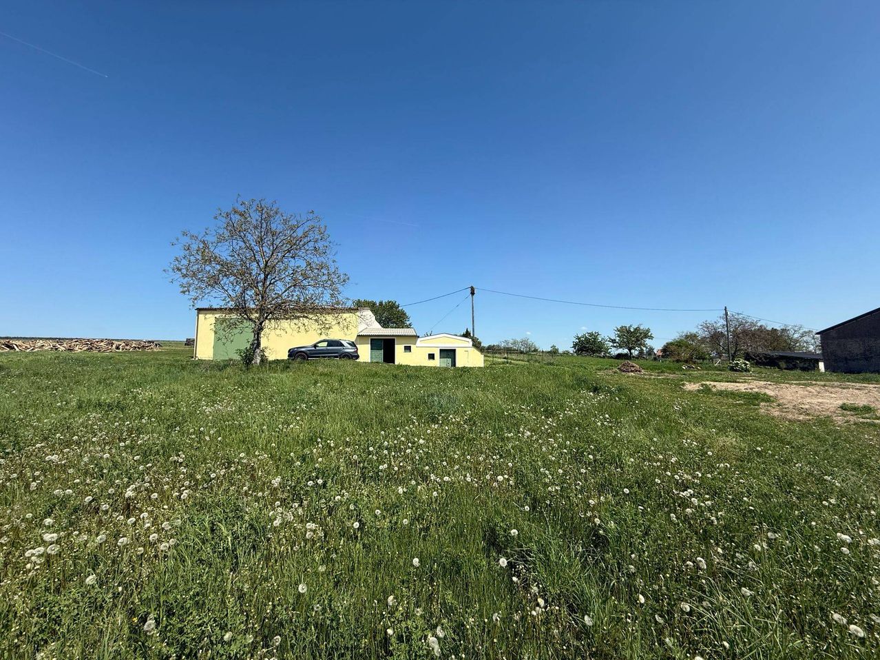 Ein gelbes Gebäude mit einem davor geparkten Auto ist von einem Feld mit Löwenzahn umgeben, unter einem klaren blauen Himmel.