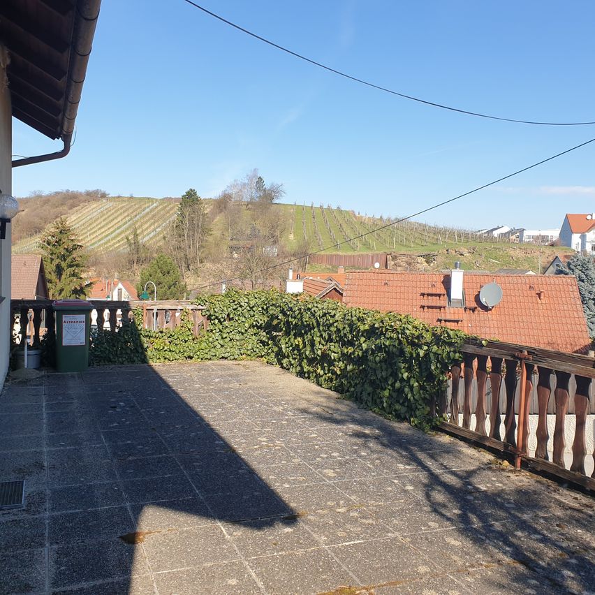 Ein Balkonblick auf ein Dorf mit einem rotgedeckten Haus, einem grünen Mülleimer und einer grünen Hecke. Der Hügel im Hintergrund hat ein Weingut und mehrere Gebäude.