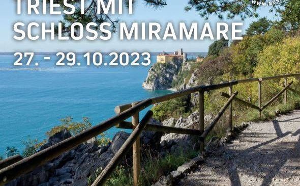 v1_migrated_image_15794356