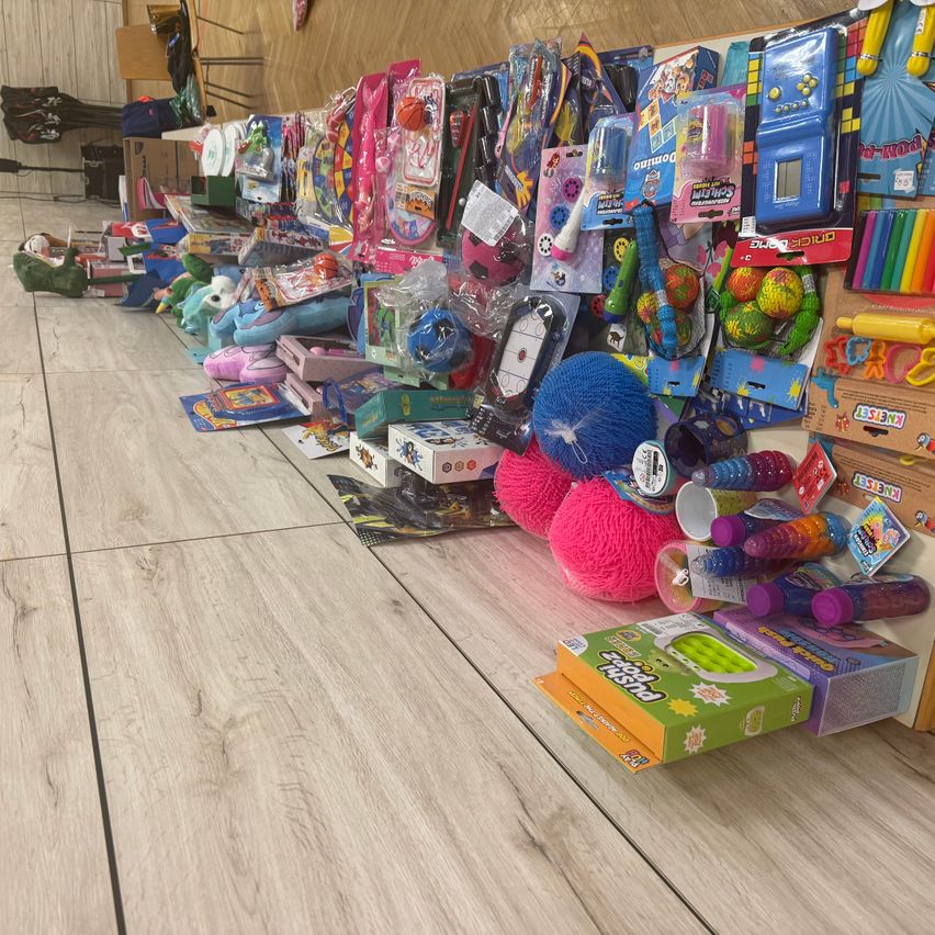 Ein Raum mit Holzboden zeigt eine Vielzahl bunter Spielzeuge und Bastelartikel, einschließlich Bälle, Puppen und Kunstzubehör, alles ordentlich auf Regalen angeordnet.