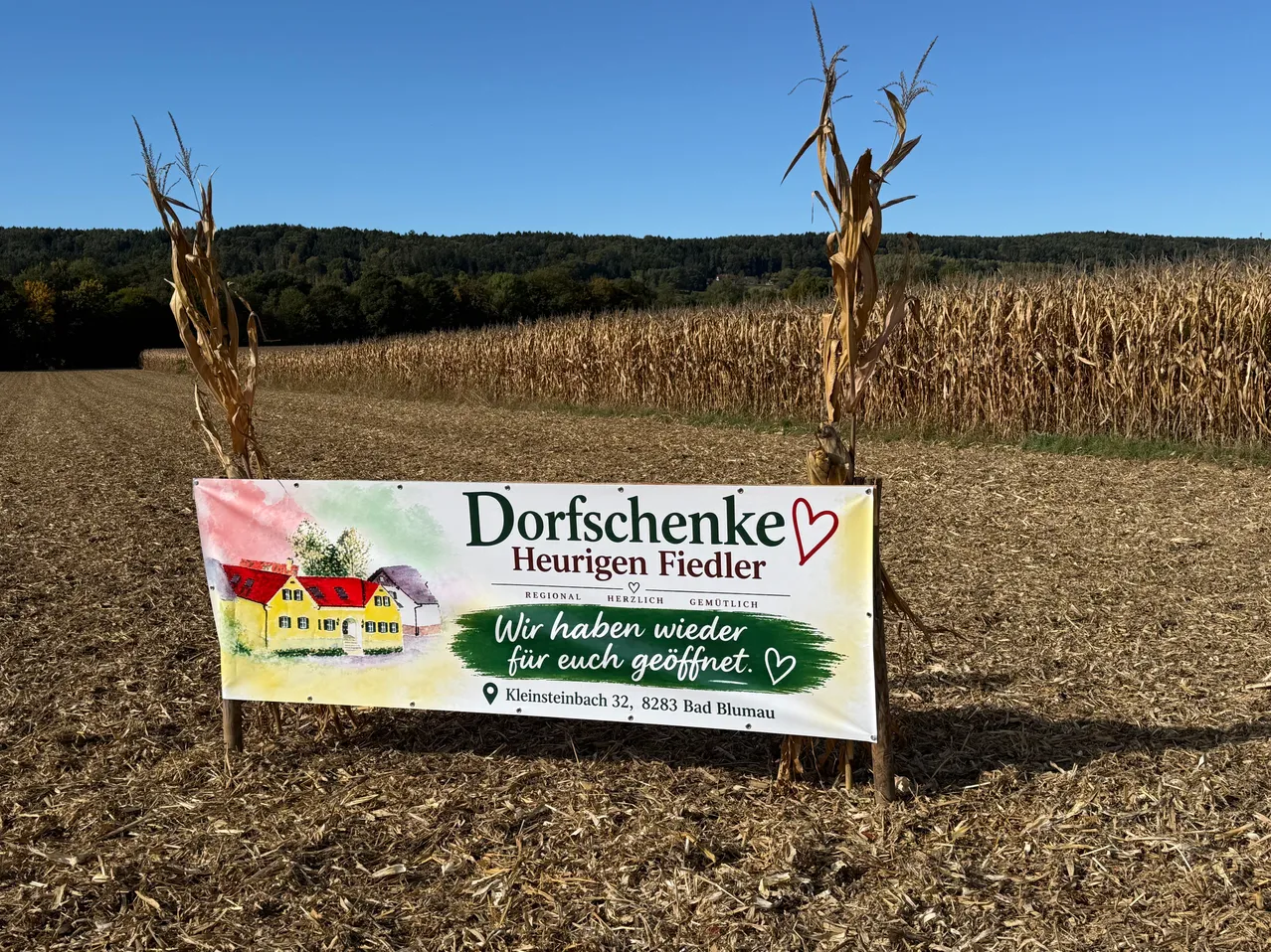 Ein Schild in einem Maisfeld mit einer Hausillustration und dem Text 'Dorfschenke Heurigen Fiedler'.