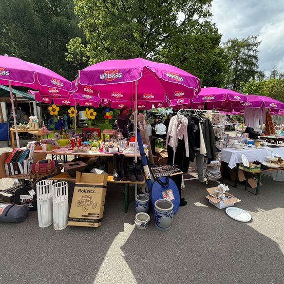 Ein Flohmarkt mit Artikeln unter lila Regenschirmen. Es gibt Bücher, Kleidung und verschiedene Waren zum Verkauf. Leute gehen herum und einige stöbern. Bäume sind im Hintergrund.