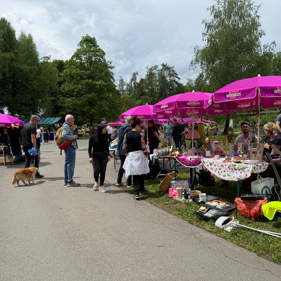 Mehrere Menschen und ein Hund stehen und gehen an einem Markt mit verschiedenen Ständen unter rosa Regenschirmen vorbei, die unter einem bewölkten Himmel Artikel verkaufen.