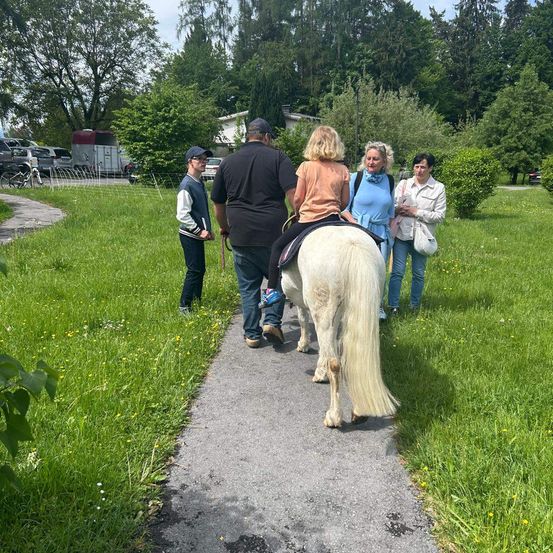 Eine Frau reitet ein weißes Pferd auf einem Betonpfad in einem Grasbereich. Ein Mann und zwei Frauen gehen neben ihr. Dahinter sind Autos in der Nähe von Bäumen und einem Haus geparkt.