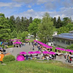 Ein lebhaftes Outdoor-Marktereignis unter blauem Himmel mit zahlreichen lila Sonnenschirmen, verschiedenen Ständen und einkaufenden Menschen. Bäume und ein Gebäude mit Solarpanelen im Hintergrund.