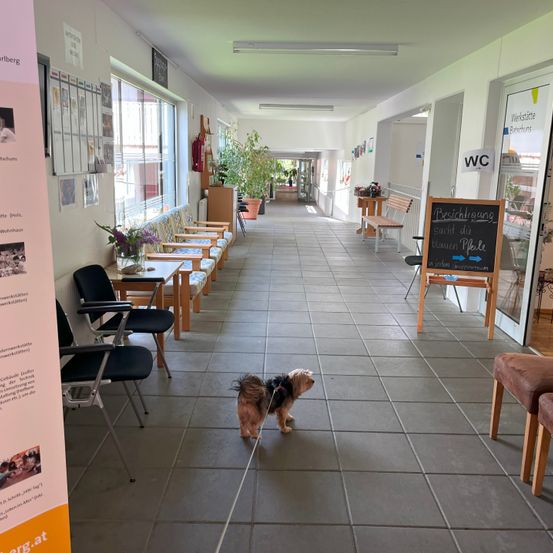 Ein Flur mit gefliestem Boden, Bänken und einem Hund an der Leine. Eine Tafel trägt die Aufschrift 'Besichtigung such die Mauer Pkle'. Blumentöpfe und ein Feuerlöscher sind in der Nähe.